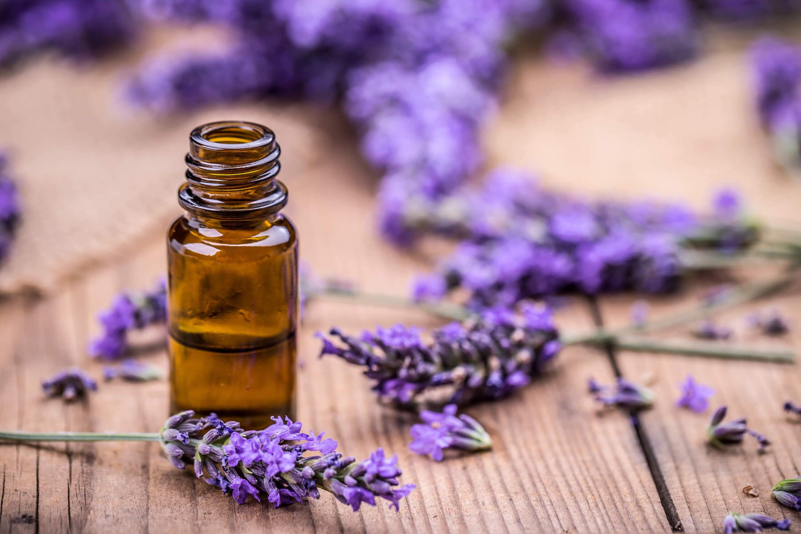 Lavender-oil-The-Massage-World