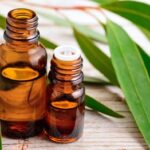 eucalyptus-oil-The-Massage-World-best-massage-oils-UK