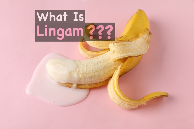 what-is-lingam